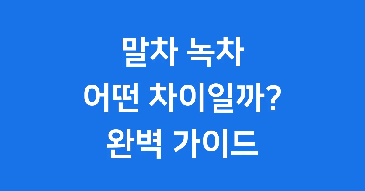 말차 녹차 차이, 건강에 더 좋은 차는? 🍵