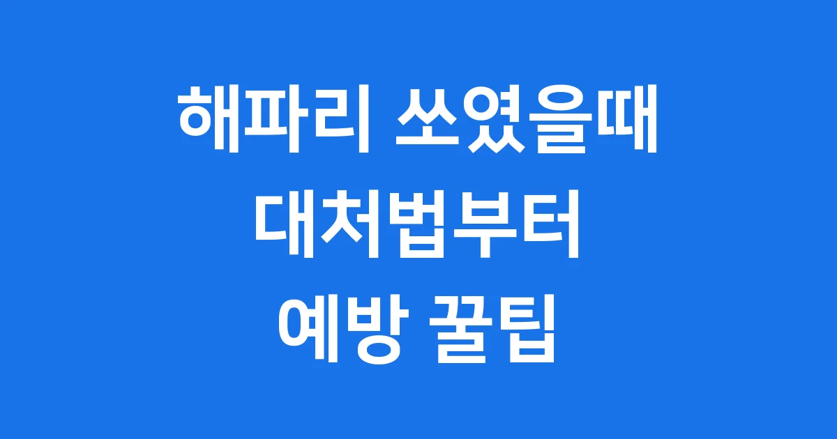 해파리 쏘였을때, 당황하지 마세요! 대처법부터 예방 꿀팁까지