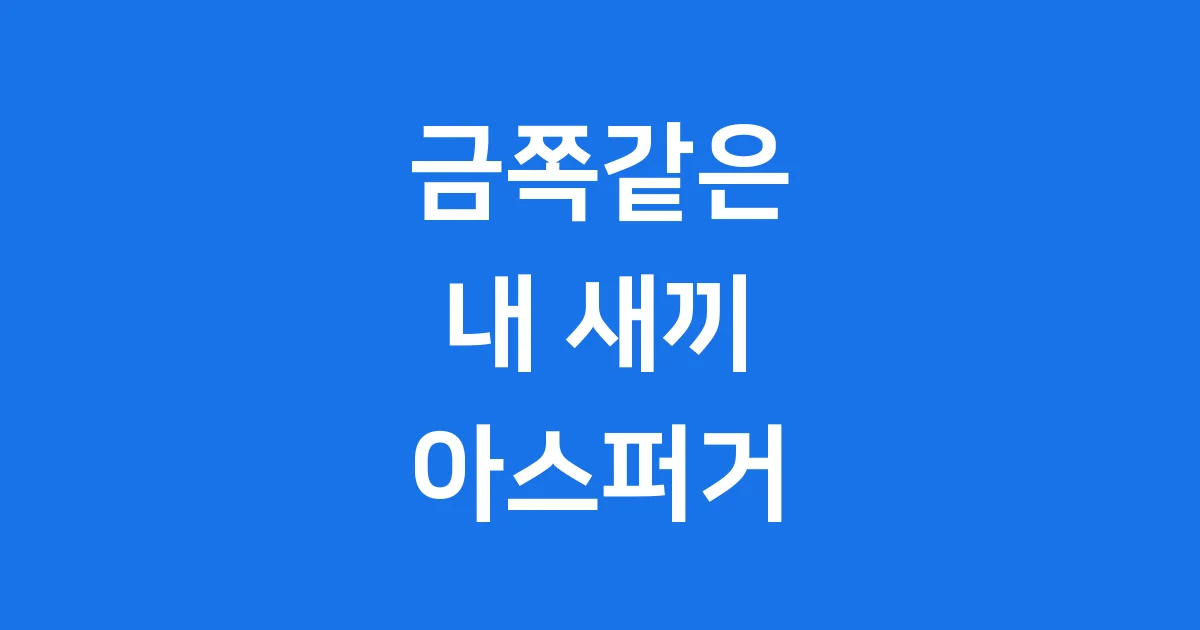 금쪽같은 내 새끼 아스퍼거 증상 치료 지원