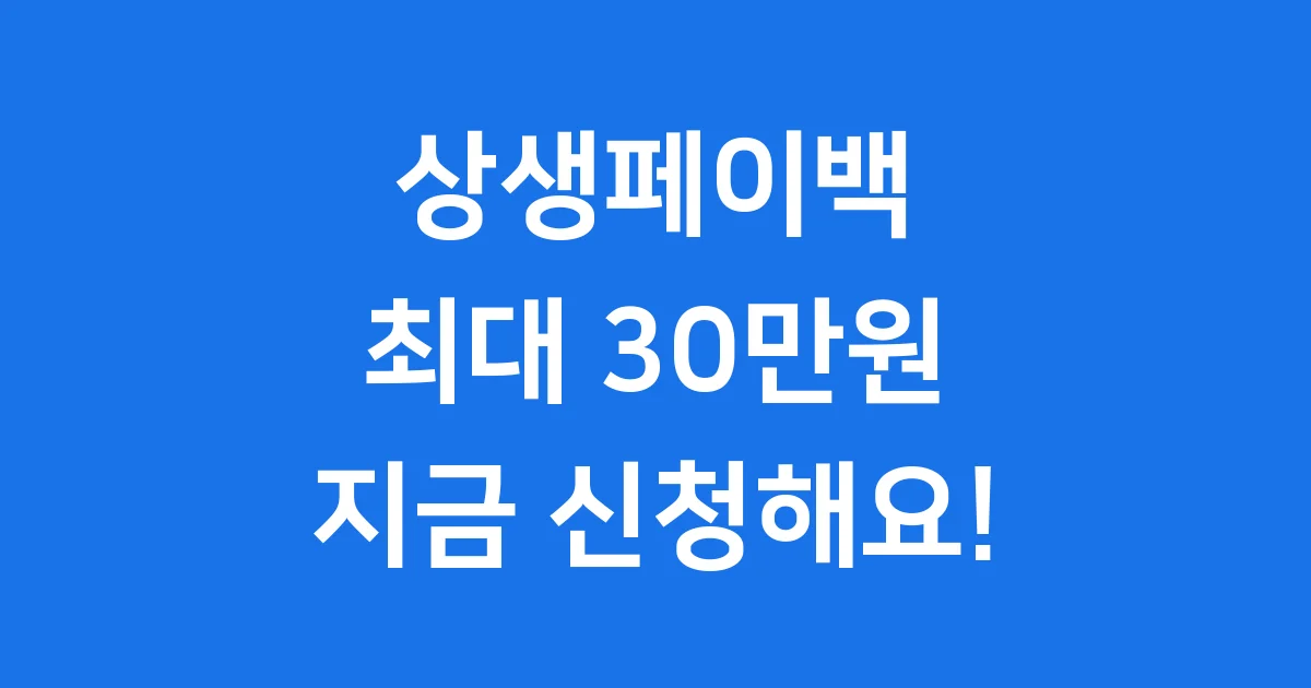 상생페이백 2025년 신청방법 조건 지급금액 완벽 안내