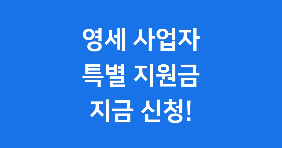 영세 사업자 특별 지원금 2025년 신청방법 조건 영세 사업자 특별 지원금 2025년 신청방법 조건