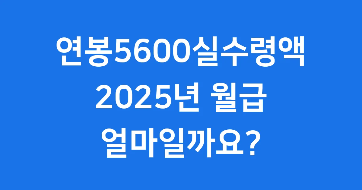 연봉5600실수령액 2025년 월급 얼마일까요? 연봉5600실수령액 2025년 월급 얼마일까요?