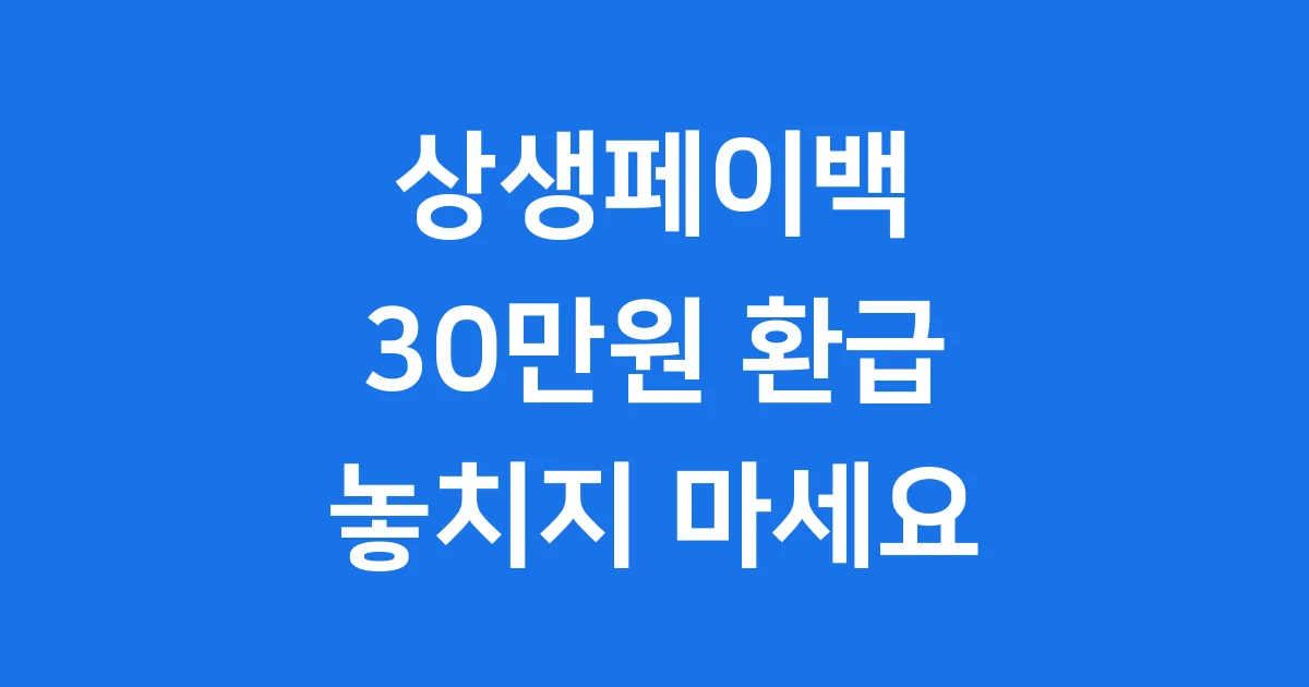 상생페이백누리집 신청방법 환급액 사용처 2025년