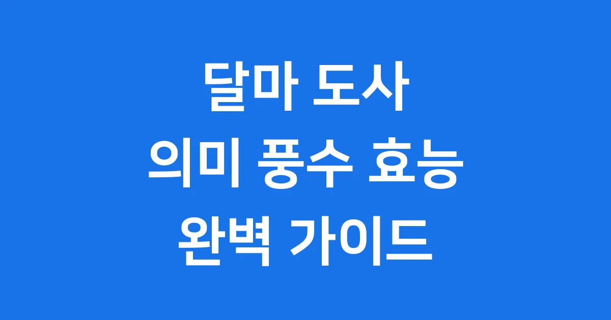 달마 도사 의미 풍수 효능 구매 완벽 가이드