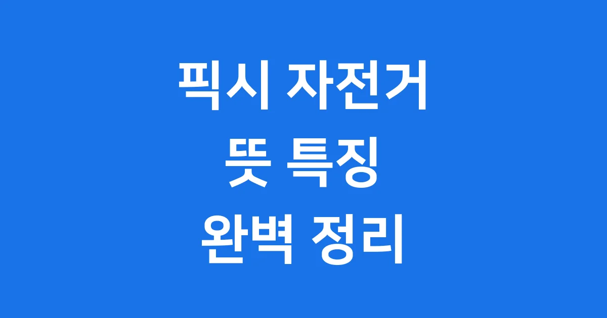 픽시 자전거 뜻 특징 장단점 안전하게 타는 법