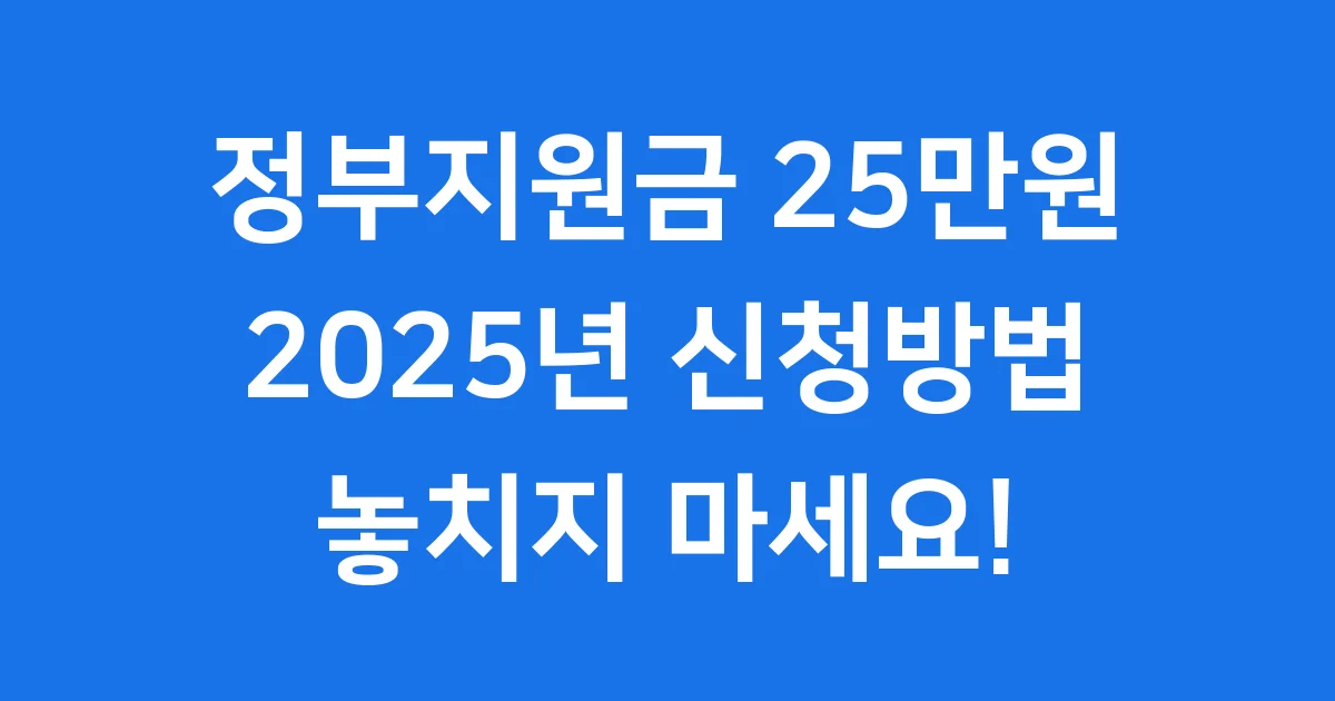 정부지원금 25만원 2025년 신청방법 자격