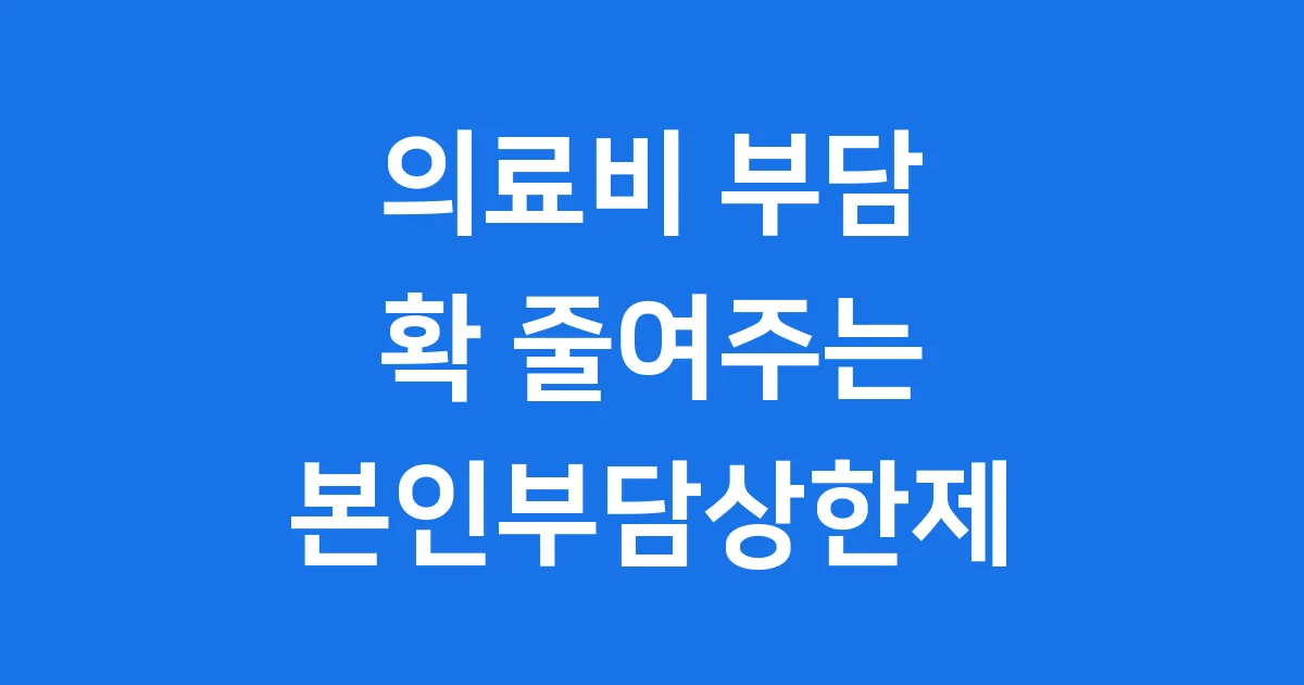 본인부담상한제 2025년 의료비 환급 신청방법 혜택