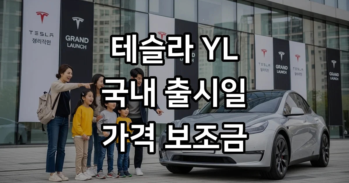 테슬라 YL 국내 출시일 가격 보조금 6인승
