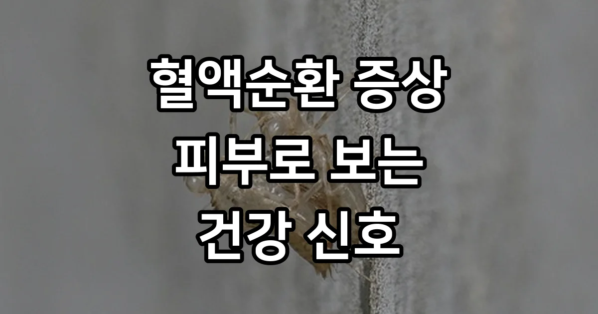 혈액순환 증상 피부 변화 확인법