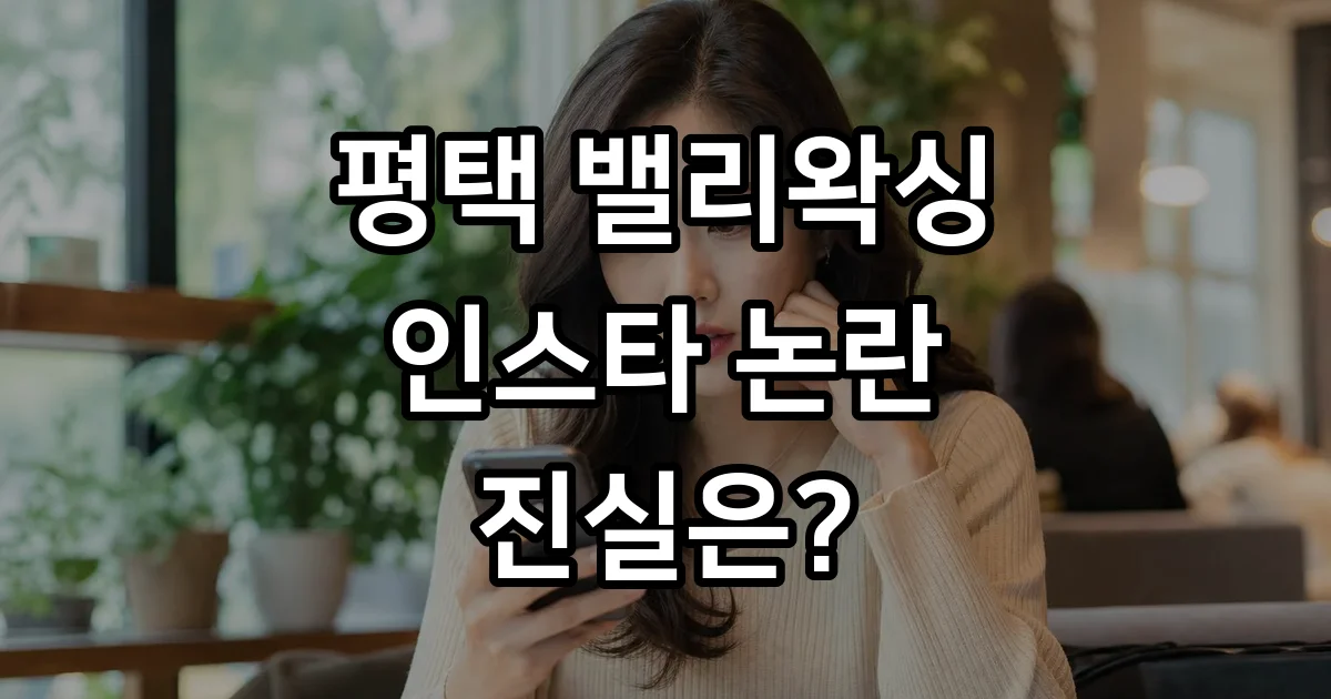 평택 밸리왁싱 인스타 논란 근황 운영 방식